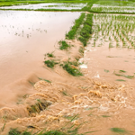 22nd Asia Nat CAT and Climate Change Conference